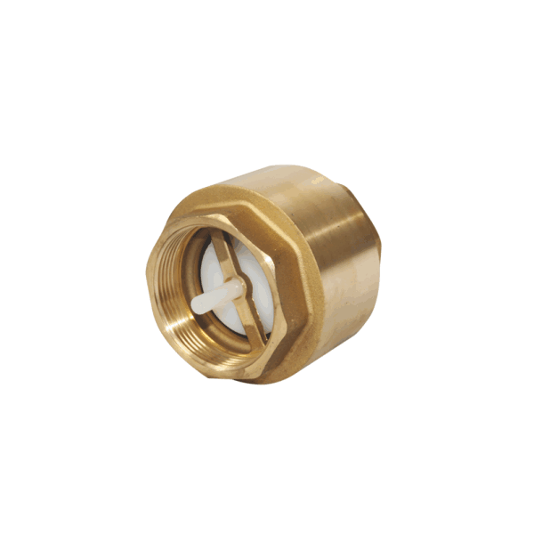 Клапан обратный ДУ-50